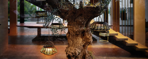 Hanging lamps illuminate a textured tree trunk, creating a warm and inviting ambiance in a stylish setting.