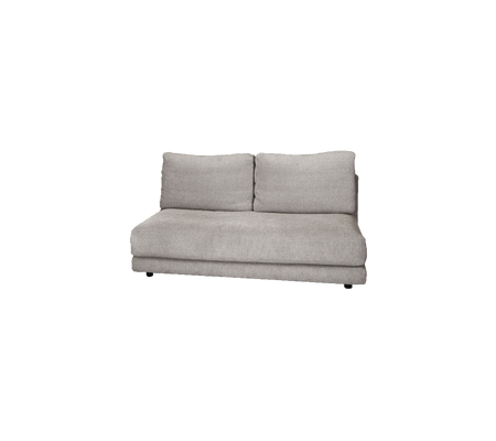 Light gray upholstered sofa with two back cushions, designed for comfort and a modern aesthetic. Ideal for cozy seating arrangements.