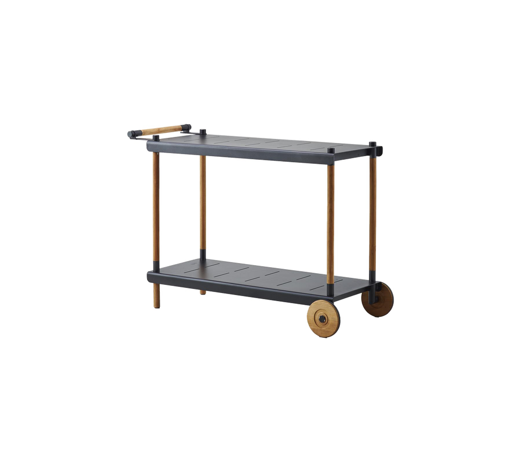 Frame trolley