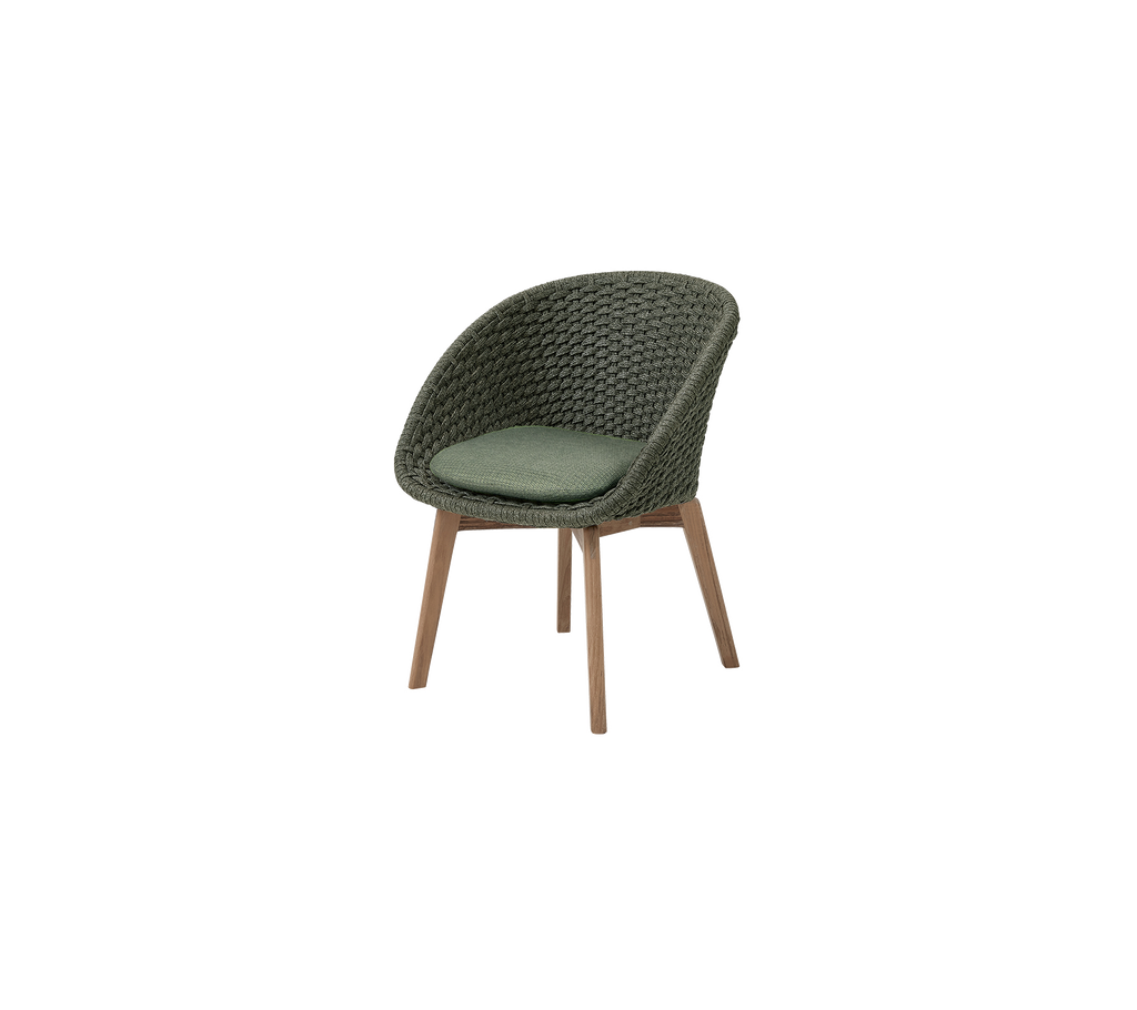 Peacock chair