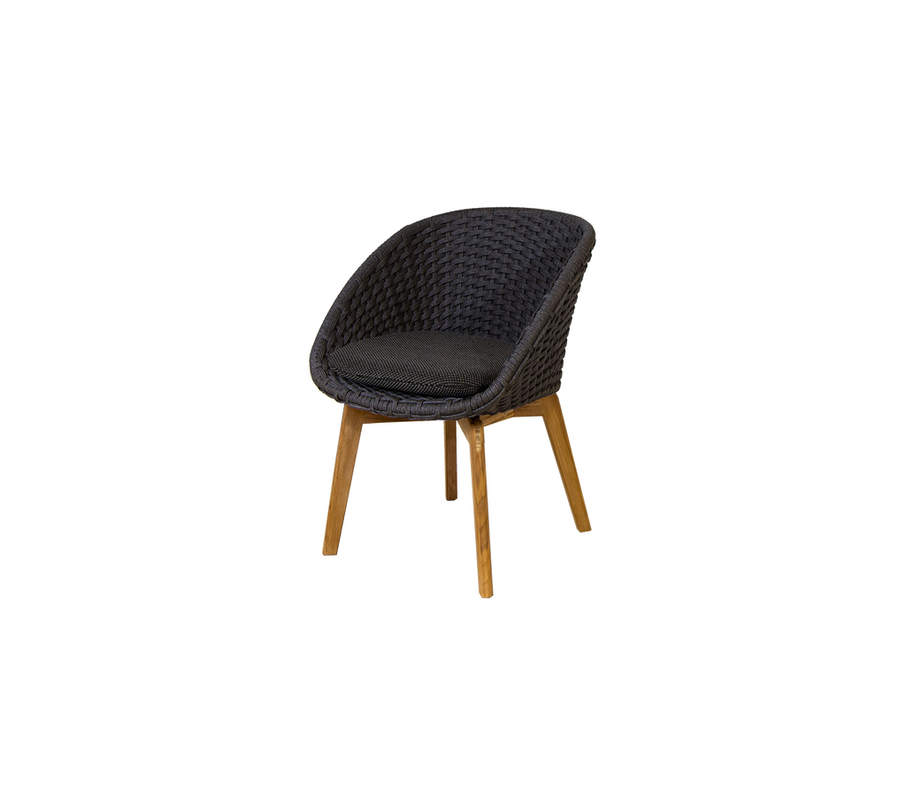 Peacock chair