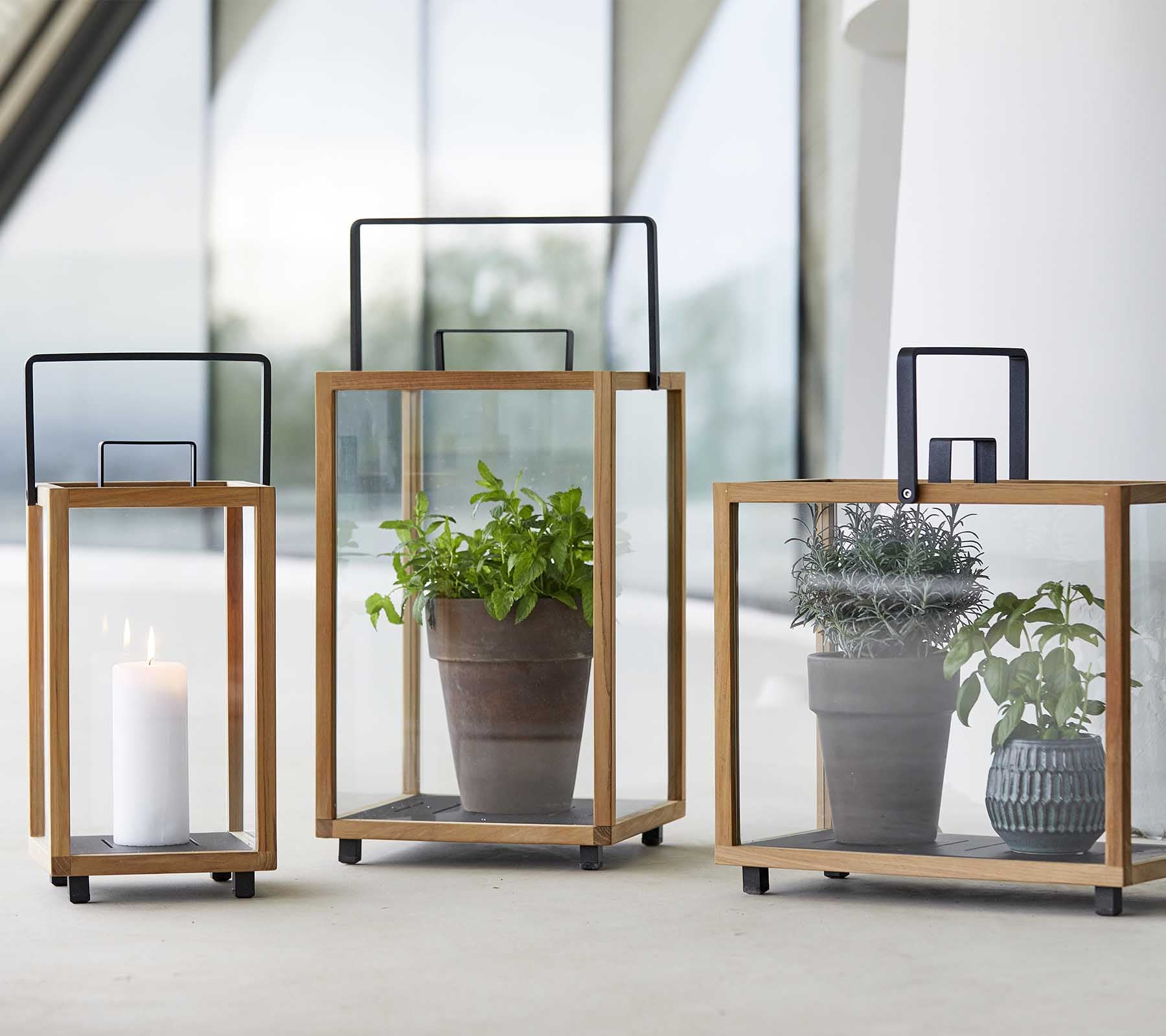 Three stylish glass lanterns with wooden frames, showcasing a candle and potted plants inside each.