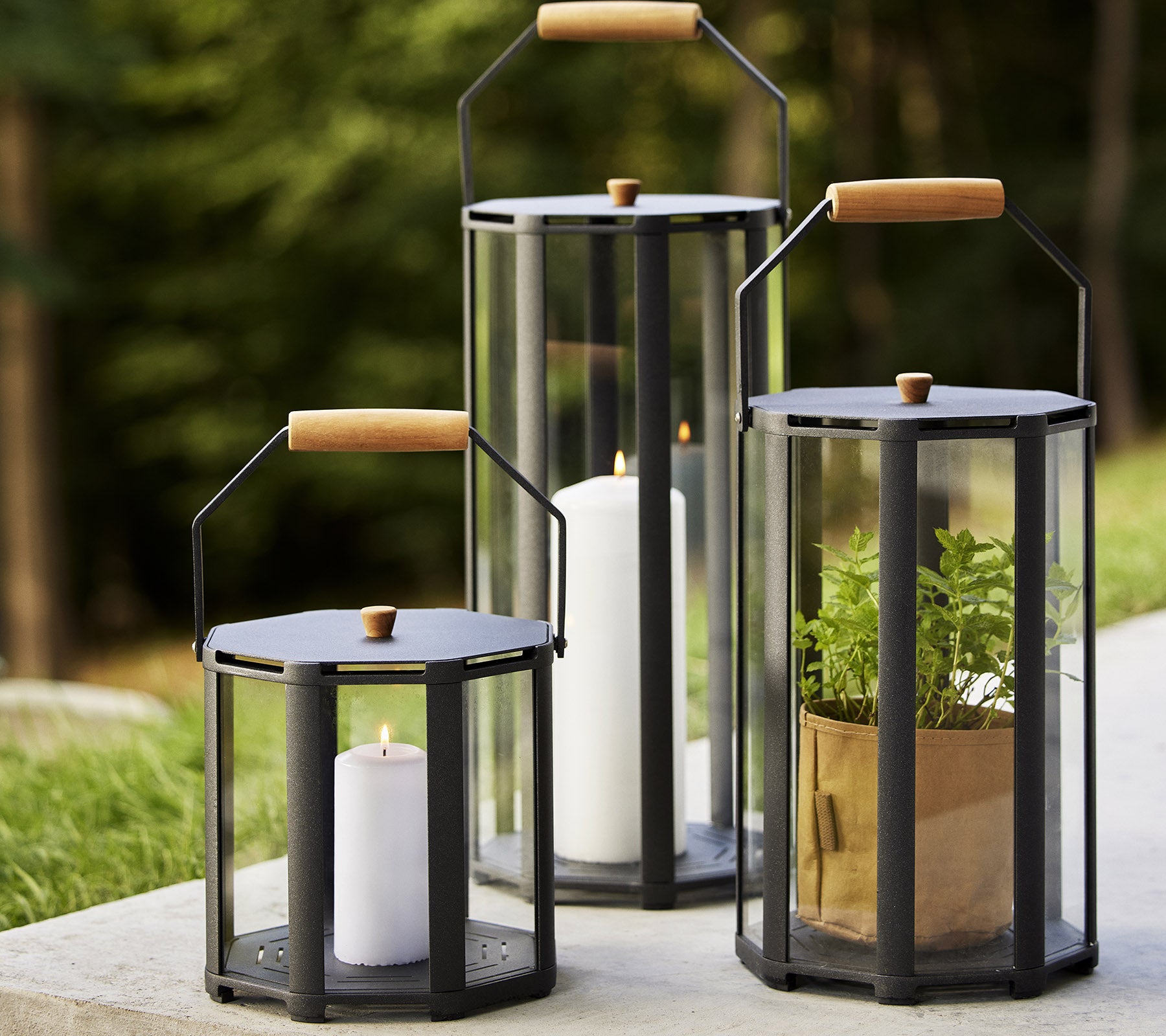 Three lanterns with wooden handles, showcasing candles and plants, set against a natural backdrop. Ideal for enhancing ambiance.